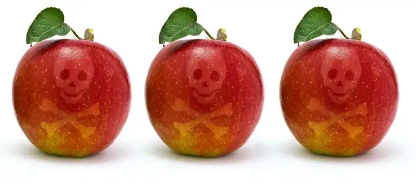 owoce z szelakiem i woskiem pszczelim