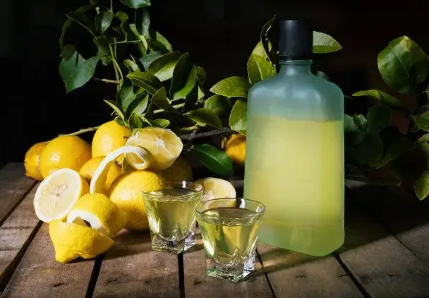 składniki do nalewki cytryna spirytus w&oacute;dka