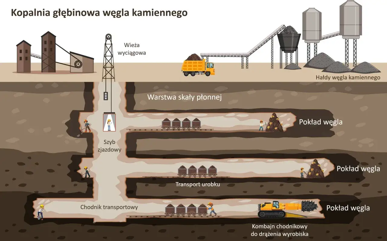 Jak powstał węgiel? Zobacz, jak w kopalni wydobywa się go z głębi ziemi, warstwa po warstwie, dla dzieci.