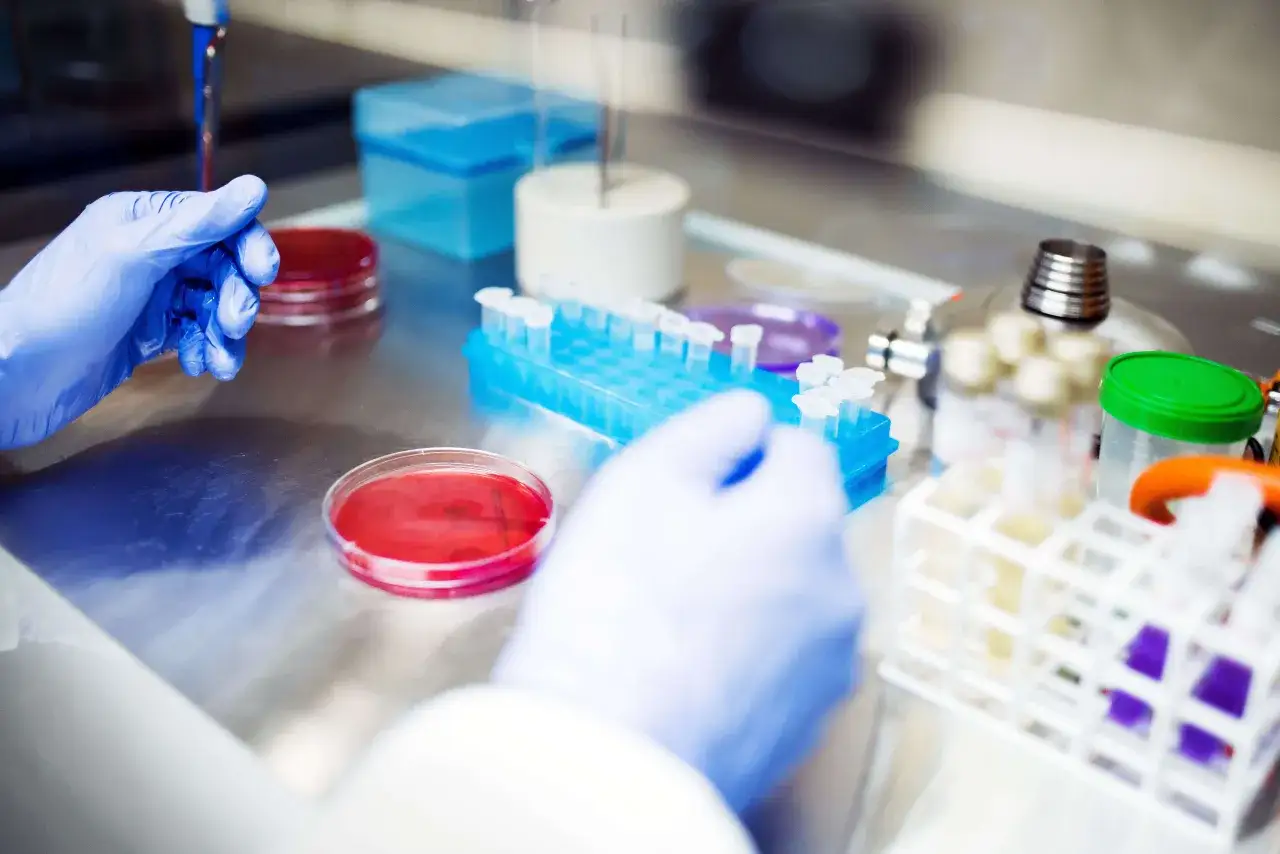 Badanie OB prob&oacute;wka krew laboratoryjna