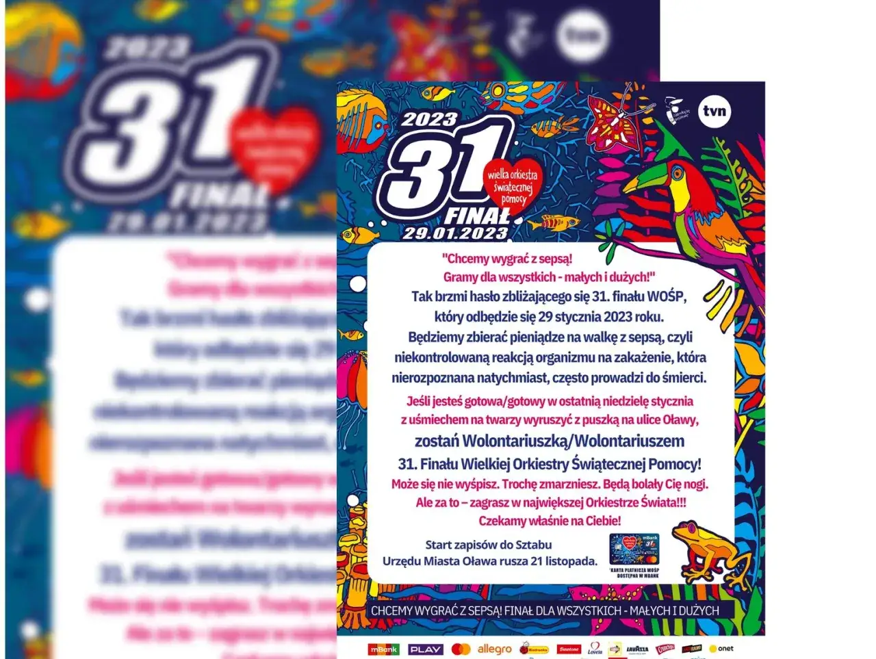 Zdjęcie Jak zostać wolontariuszem WOŚP? Kluczowe kroki i wymagania