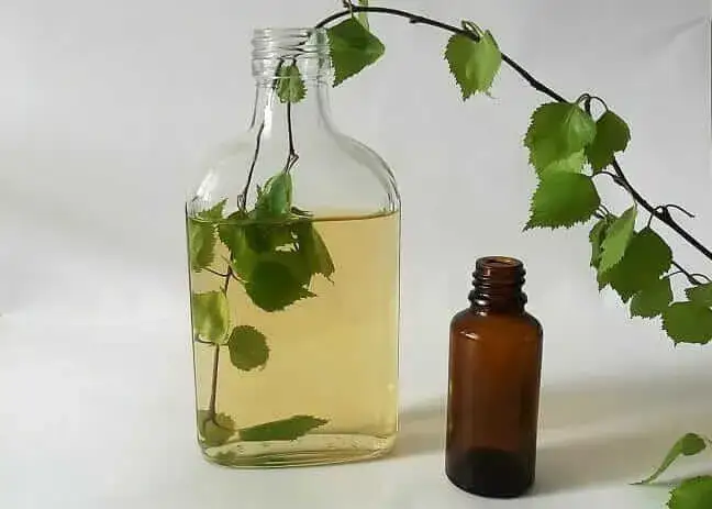 Sok z brzozy kosmetyki domowe