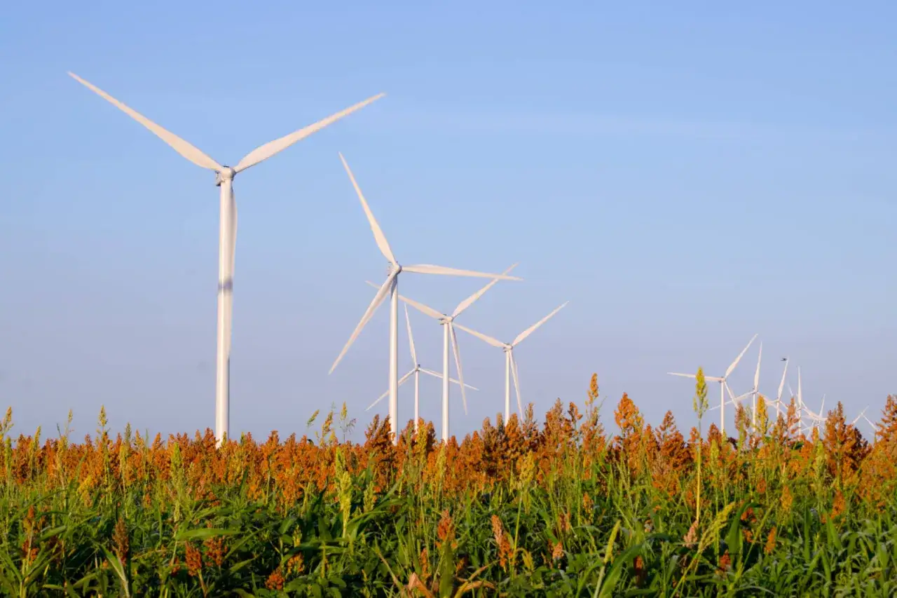 Wiatraki na tle błękitnego nieba, otoczone polem dojrzałych zbóż. Energetyczne turbiny wiatrowe pracują, czerpiąc siłę z natury.
