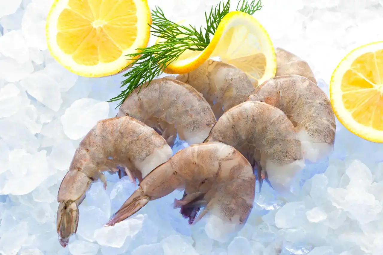świeże krewetki na lodzie