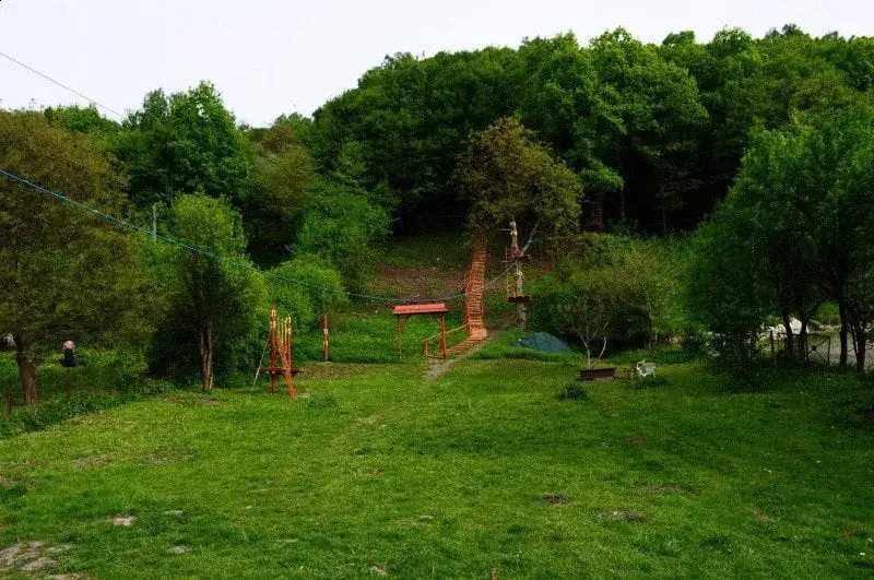 Kazimierz Dolny atrakcje dla dzieci park linowy meleks