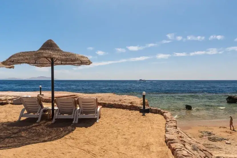 piaszczysta plaża w Hammamet Tunezja z parasolami