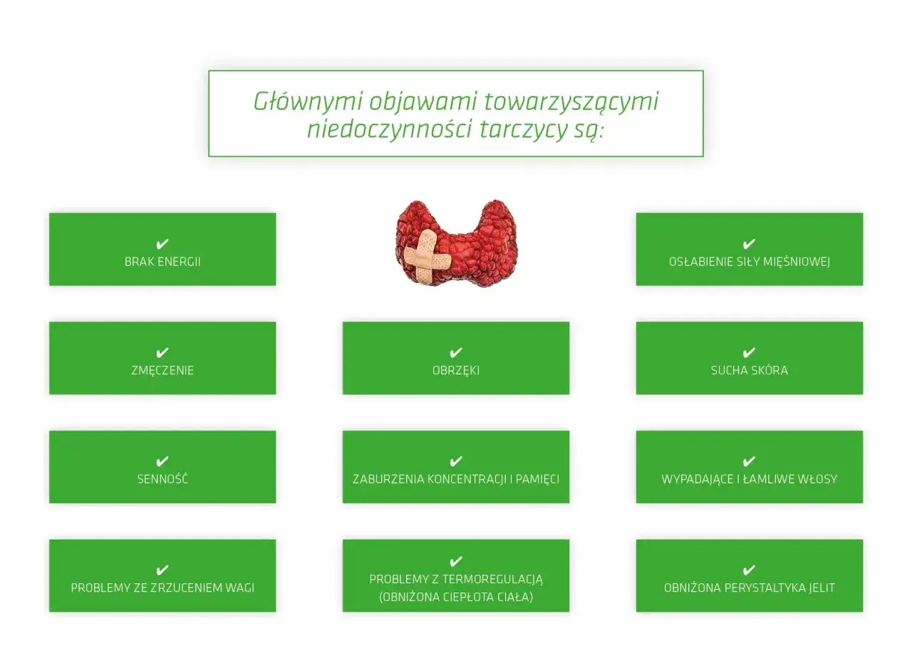 Plan działania niedoczynność tarczycy odchudzanie