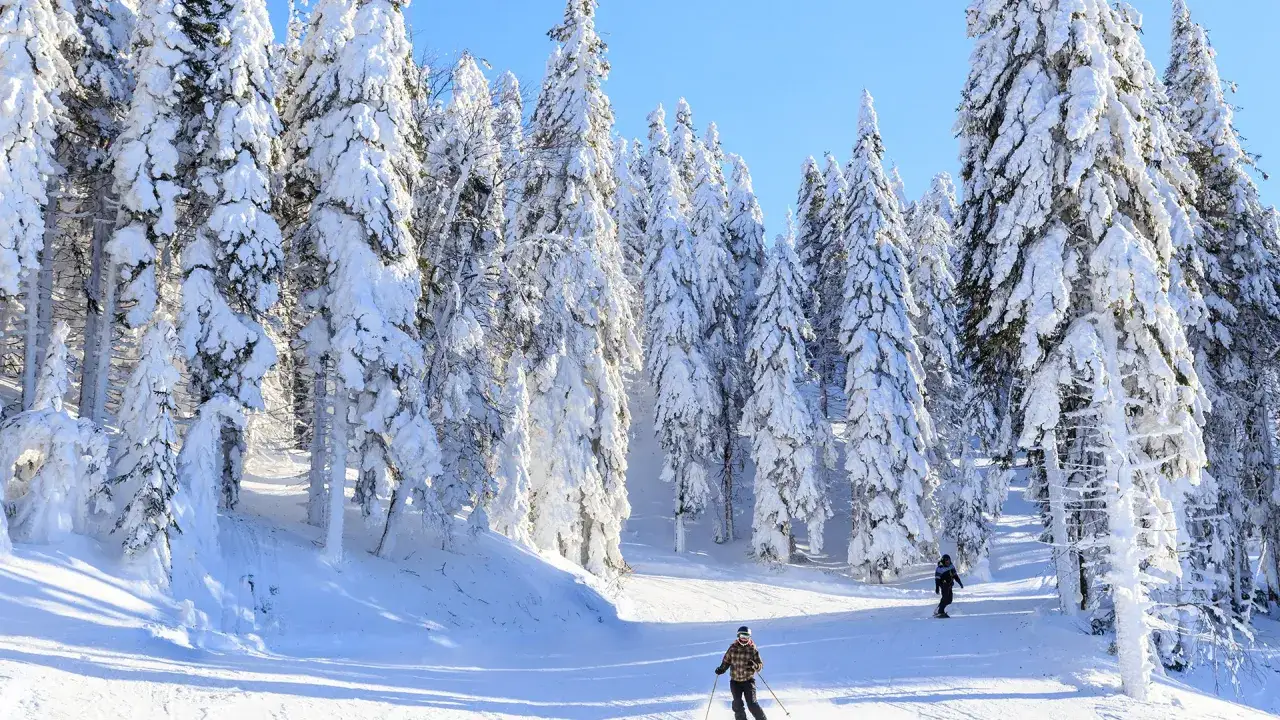 Narciarstwo biegowe wolność na szlaku