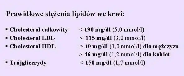Zdjęcie Jaki poziom cholesterolu jest odpowiedni dla wieku? Sprawdź normy i ryzyka