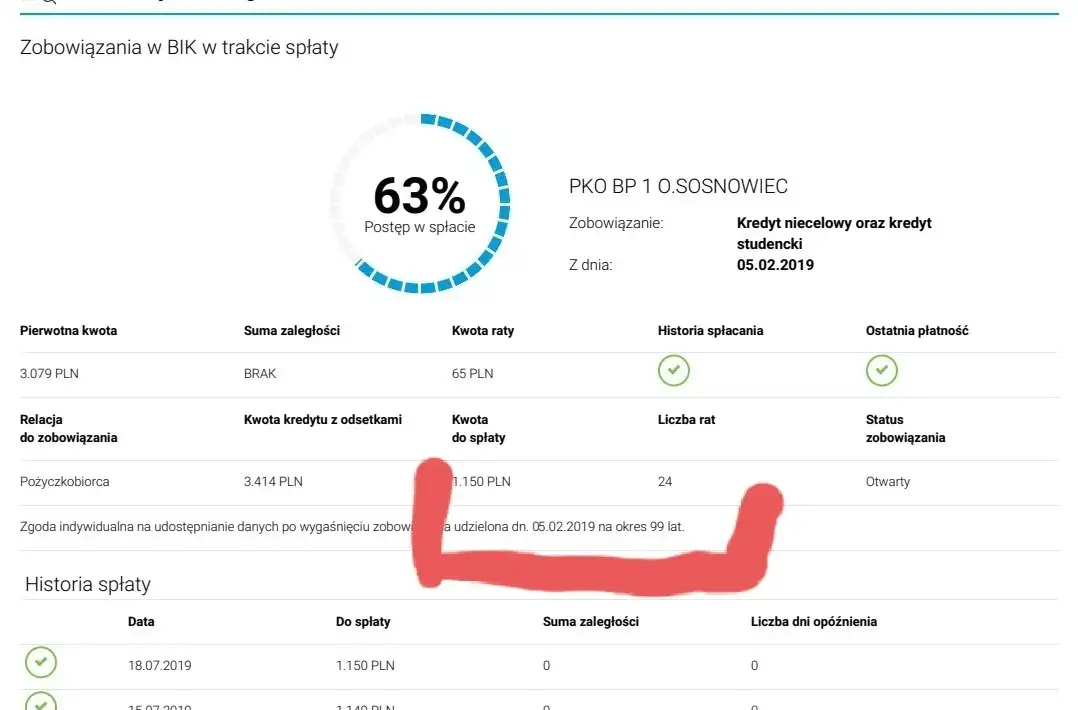 Zdjęcie Ile widnieje się w BIK? Sprawdź, jak długo pozostają negatywne dane