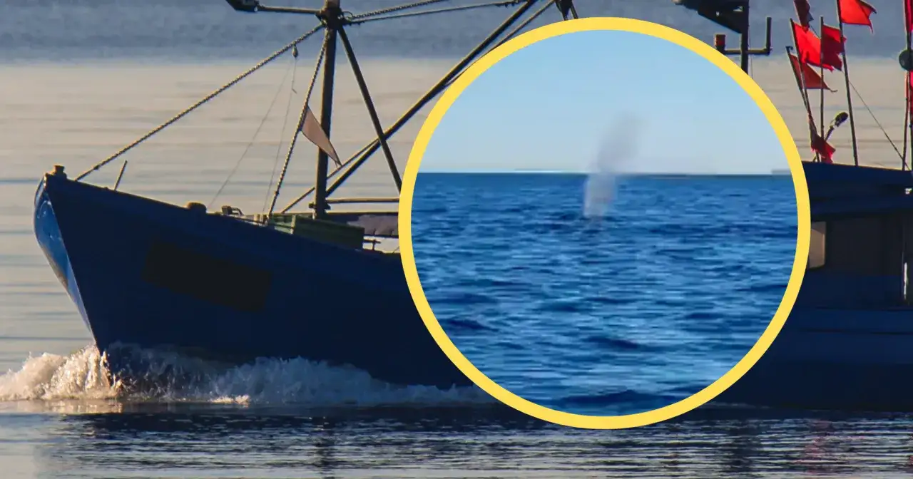 Zdjęcie Jaką głębokość ma Bałtyk? Zaskakujące dane o jego głębokości