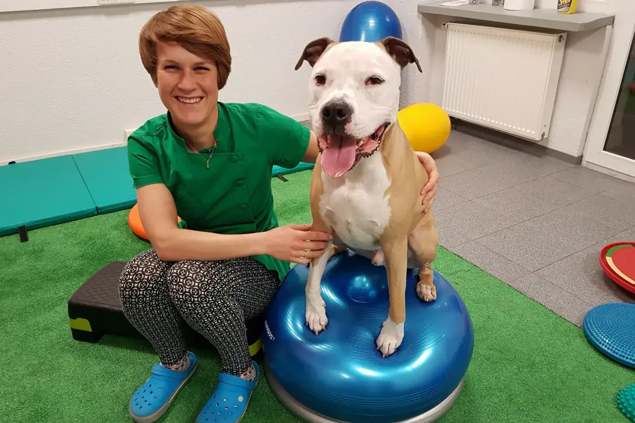Zdjęcie Ile zarabia fizjoterapeuta zwierząt? Zaskakujące fakty o wynagrodzeniach