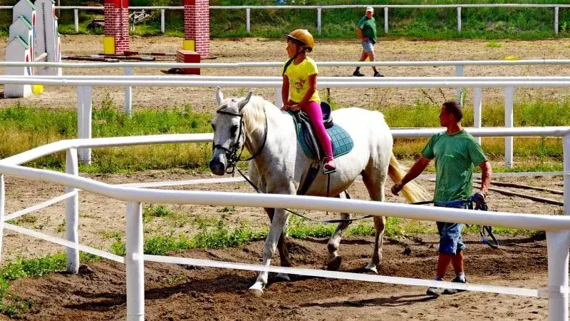Zdjęcie Ośrodek wypoczynkowy i stadnina koni Kaszubski Bór – idealne miejsce na relaks i przygodę