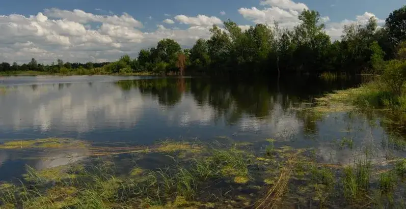 Zdjęcie Cennik łowiska Pogalewo – poznaj aktualne ceny i opłaty za wędkowanie