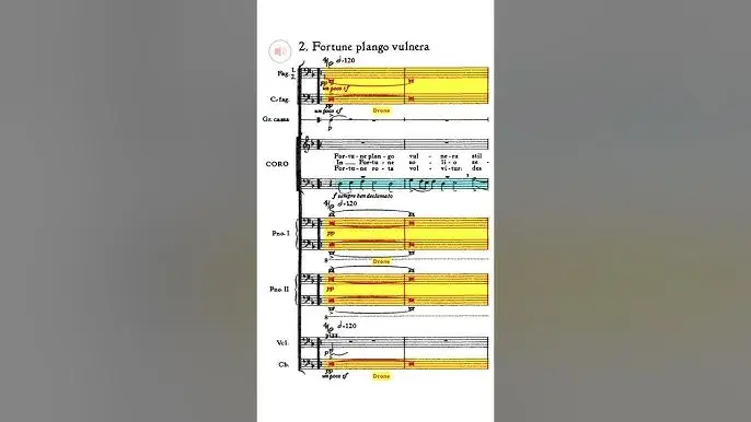 r&oacute;żne rodzaje partytury Carmina Burana przykład