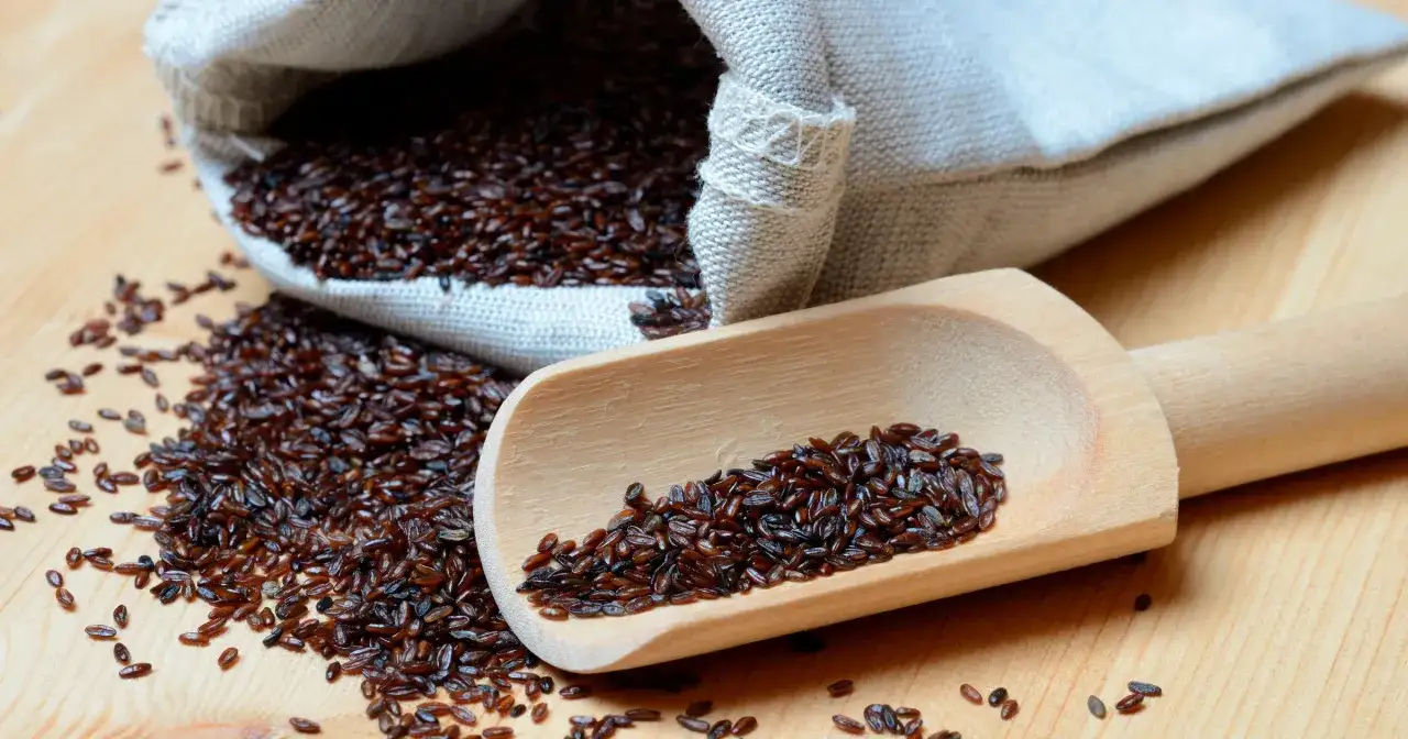 siemię lniane i babka płesznik na zaparcia