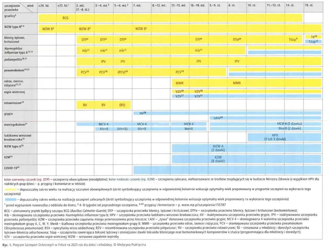 Kalendarz szczepień dla dzieci i młodzieży, uwzględniający szczepienie na 18 lat przeciwko HPV.