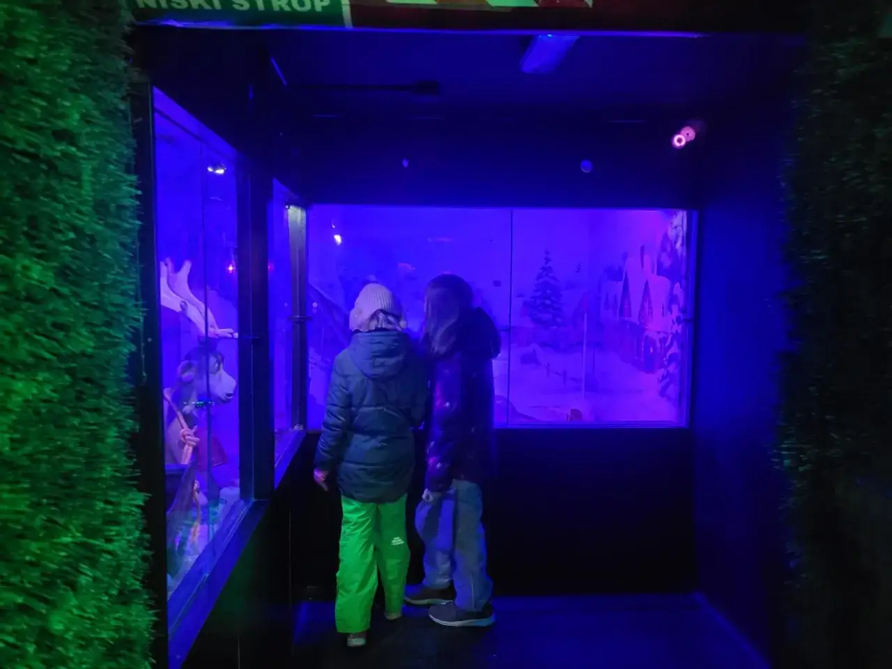 Kołobrzeg atrakcje dla dzieci Miasto Myszy Oceanarium