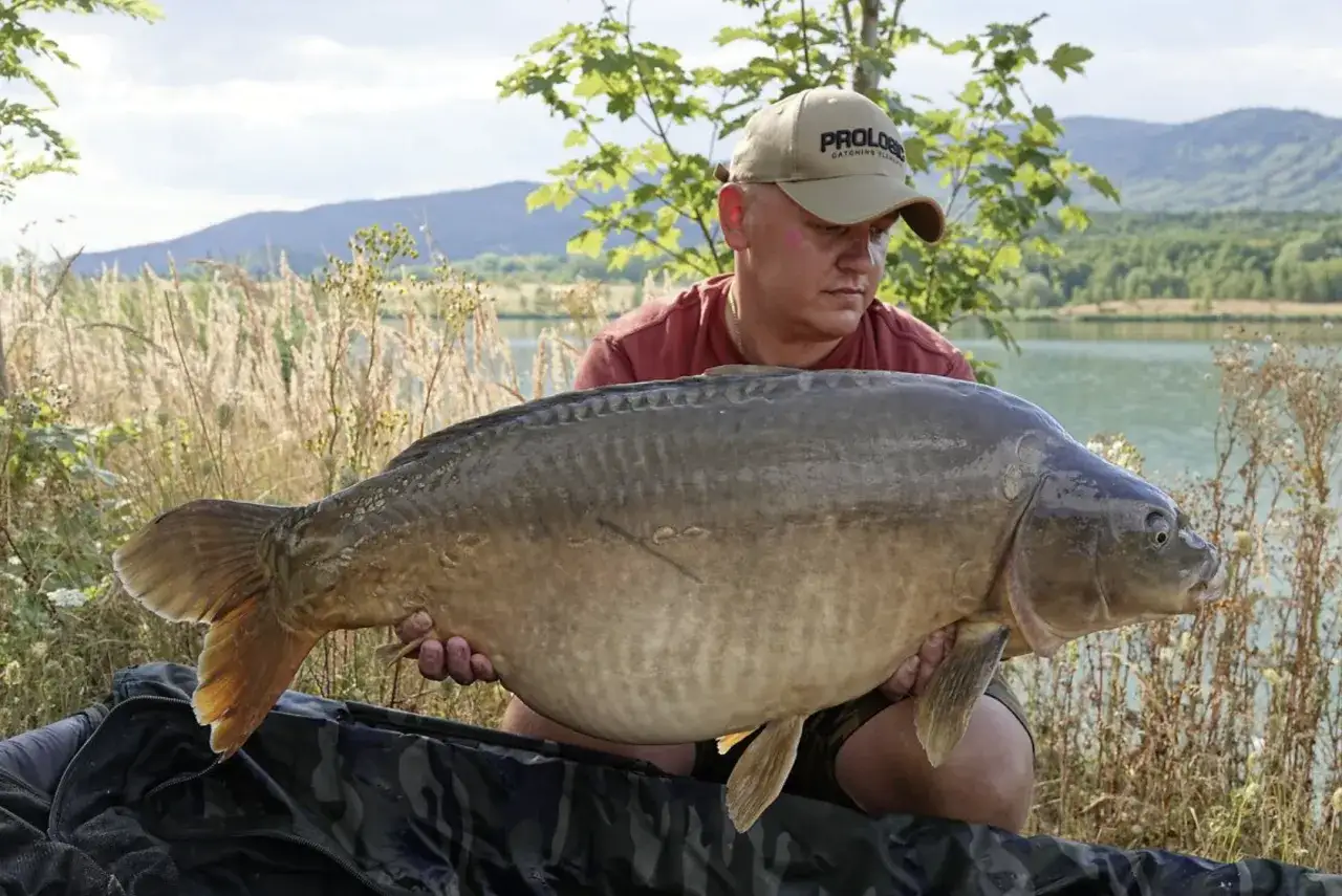 R&oacute;żne rodzaje przynęt na karpia