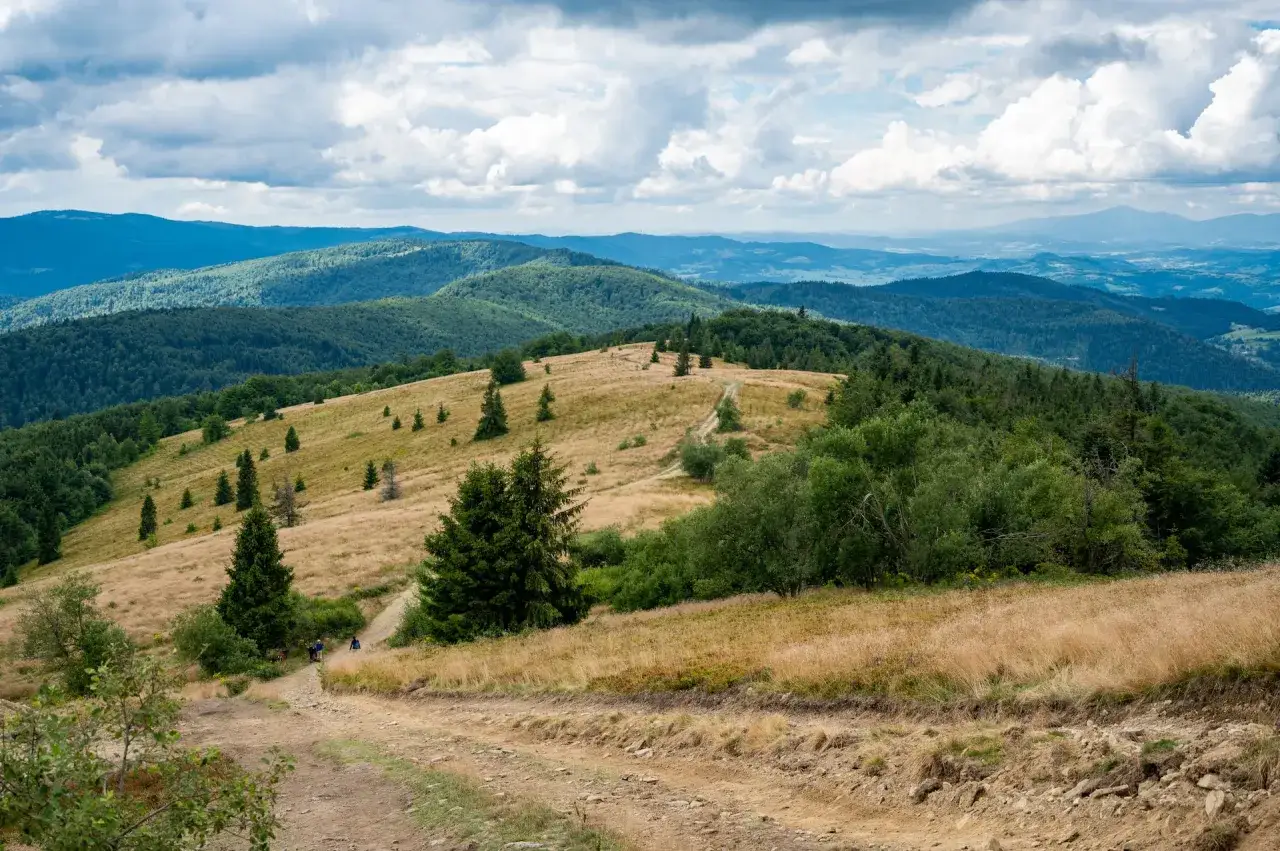 Malownicze góry z Turbaczem w tle, pofałdowane zielone wzgórza i ścieżka wijąca się wśród traw.