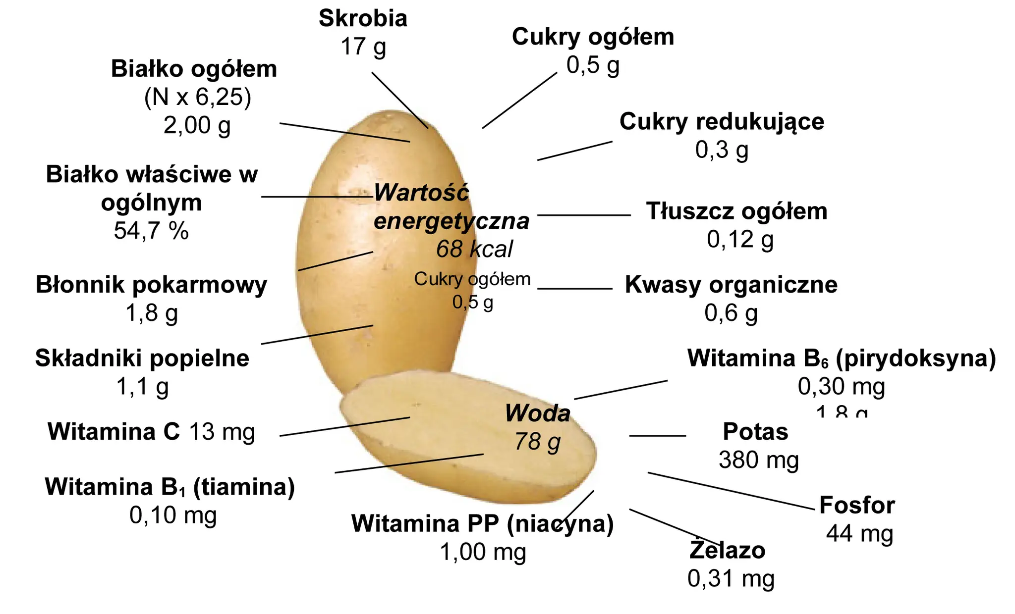 ziemniaki wartości odżywcze infografika