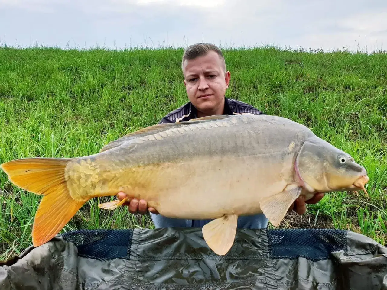 Wędkarz z okazałym karpiem na tle zielonej wyspy traw. Udany połów na łowisku.