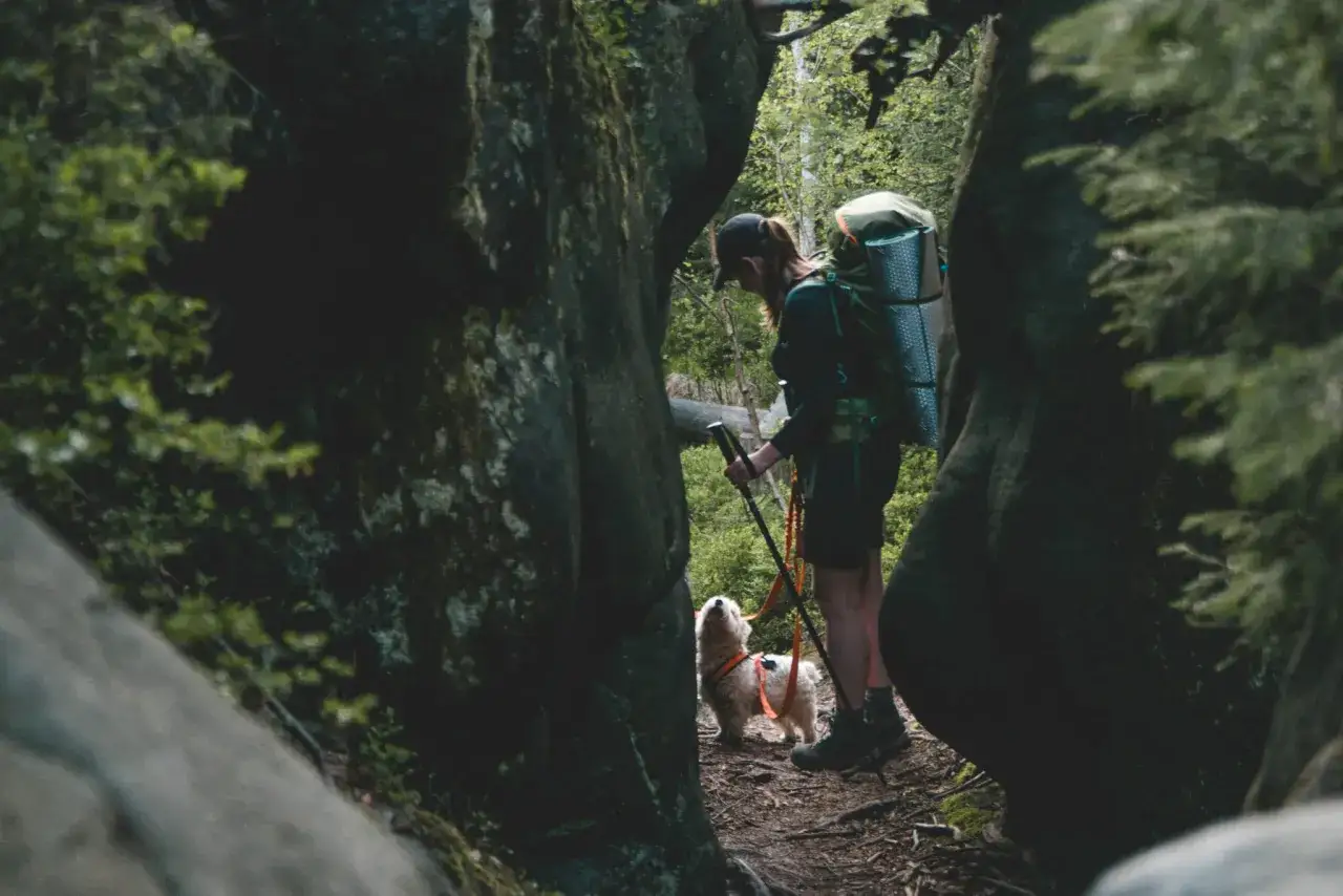 Wędrowiec z psem w górach, idealne miejsce, gdzie najbliżej w góry z Wielkopolski.