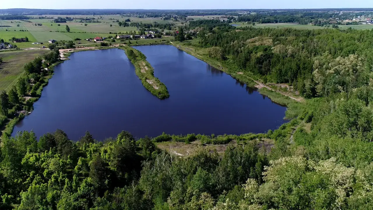 karp amur jesiotr Borowy Staw