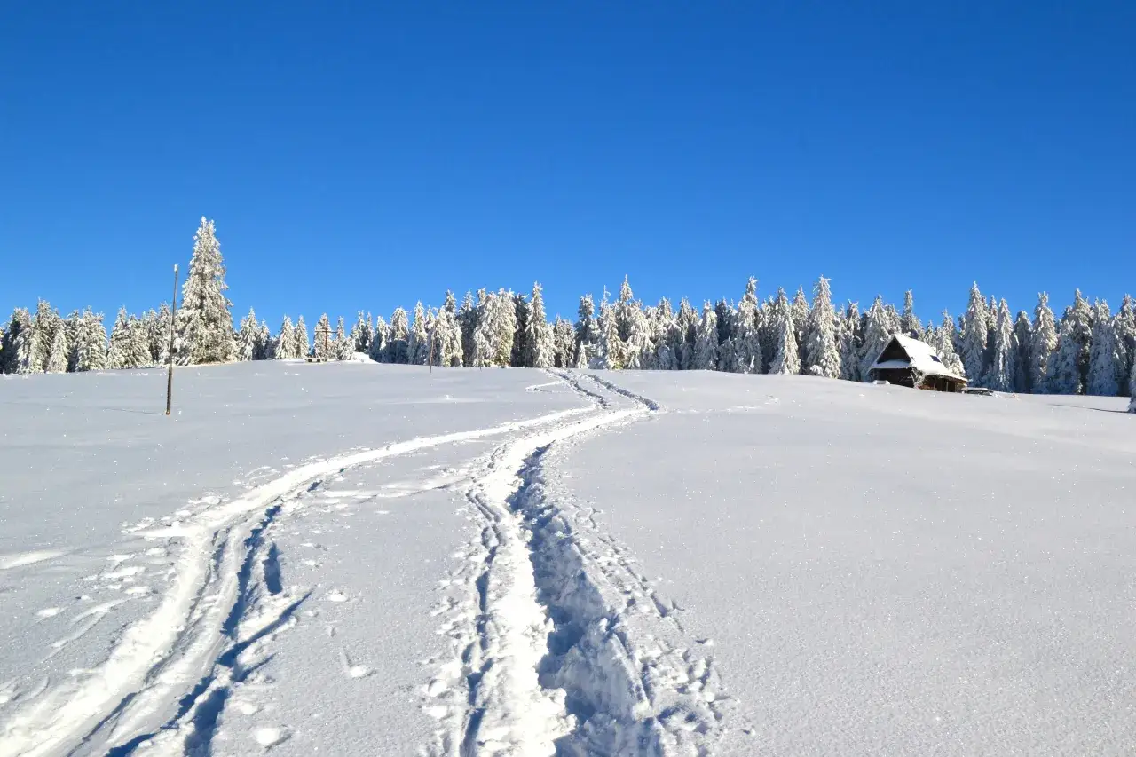 Śnieżny krajobraz z widoczną ścieżką na Krawc&oacute;w Wierch. W oddali las i mała bac&oacute;wka.
