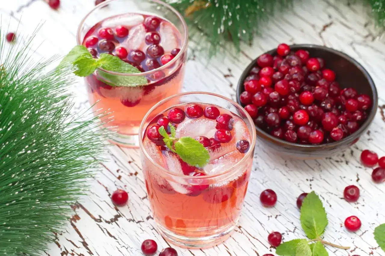 Elegant cranberry cocktails