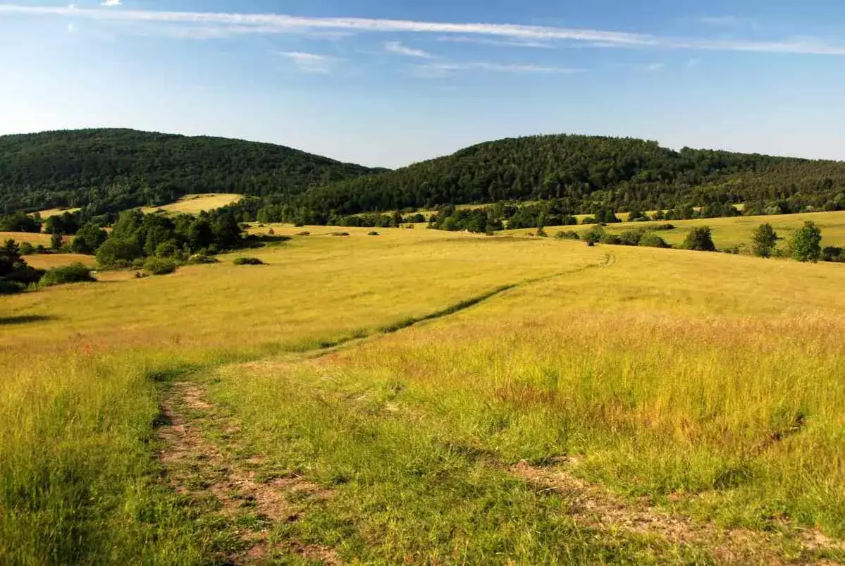 Beskid Niski - najpiękniejsze szlaki. Droga przez złote pola i lasy, zapraszająca do wędr&oacute;wki.