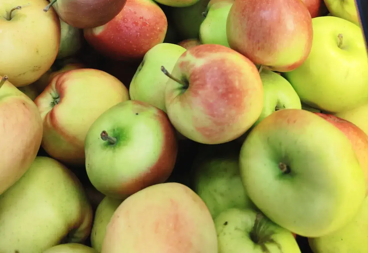 Jabłka na szarlotkę z Biedronki: soczyste, zielone i czerwone, idealne do pieczenia.