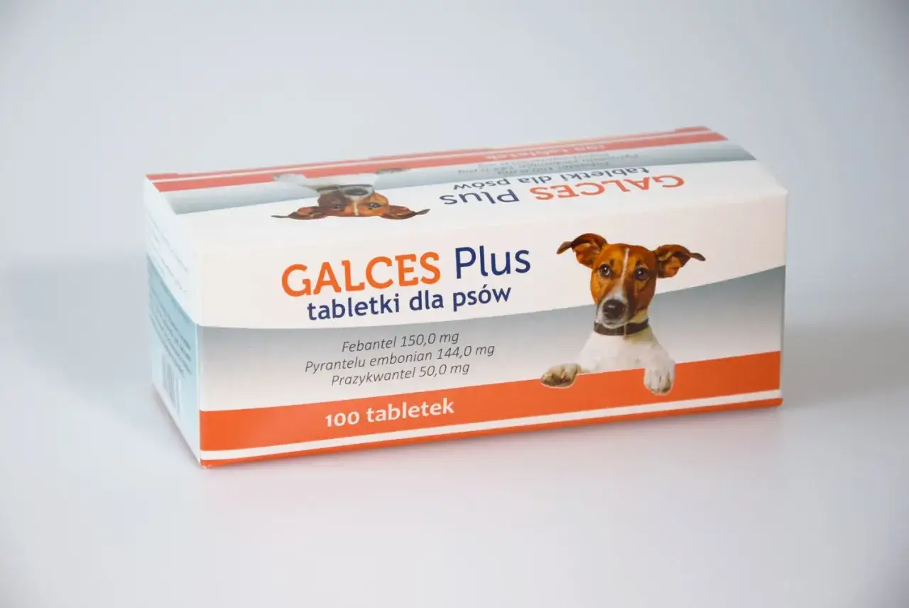 GALCES Plus - tabletki dla psów. Szybko działają, zapewniając ulgę Twojemu pupilowi. 100 tabletek.
