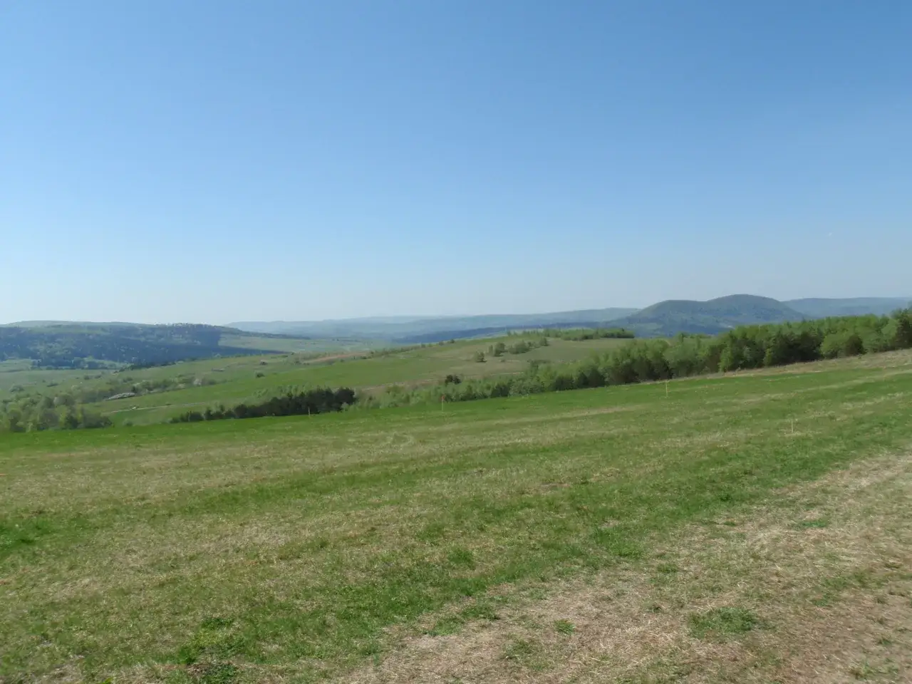 Zielone wzg&oacute;rza i lasy rozciągają się aż po horyzont. To idealne miejsce na przymiarki punkt widokowy.