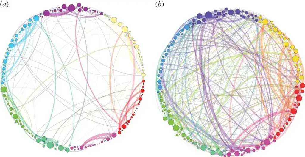 wizualizacja działania psylocybiny na m&oacute;zg receptory serotoninowe