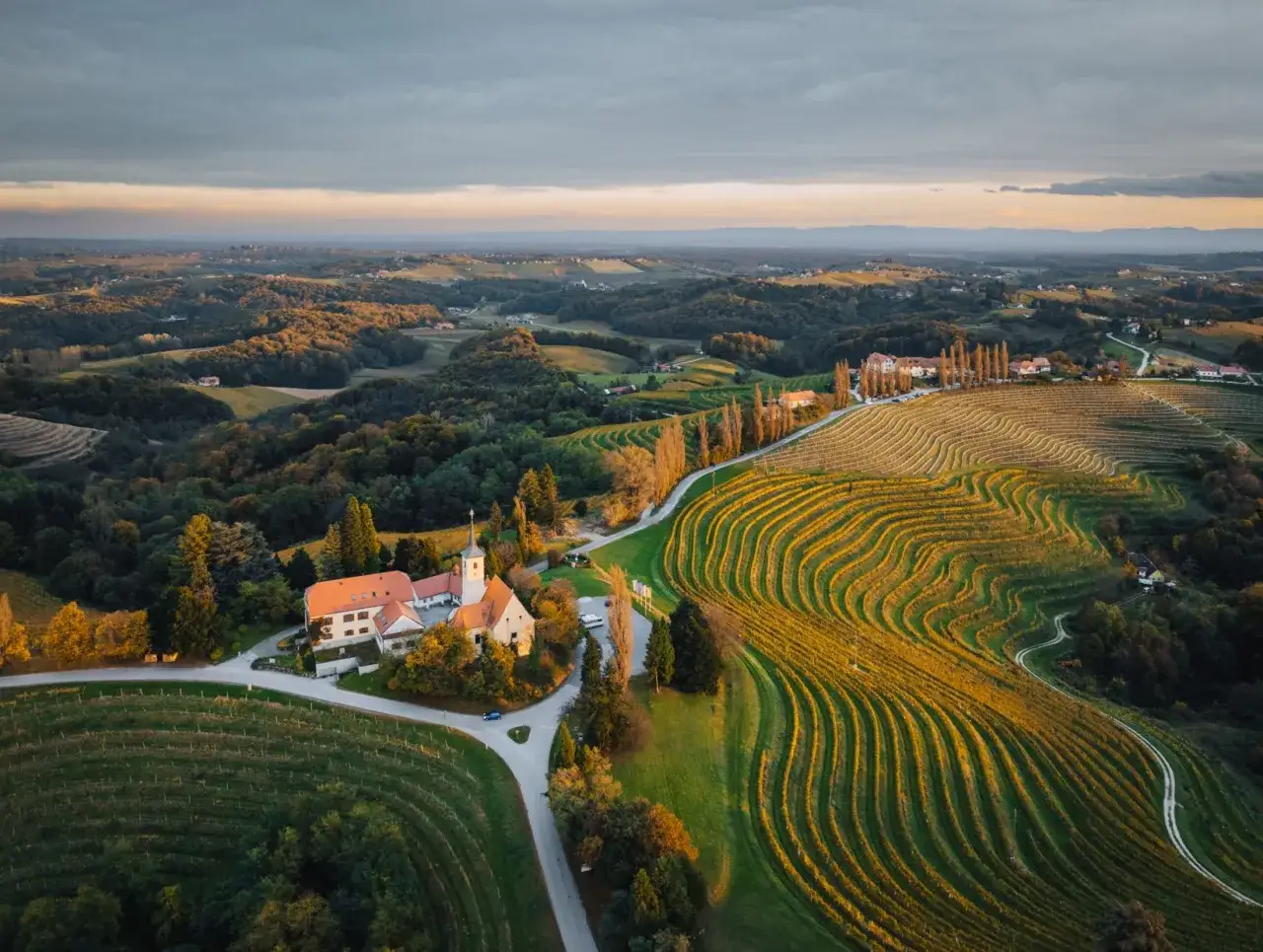 Malownicze winnice w Mariborze, Słowenia, oświetlone złotym słońcem. W oddali kości&oacute;łek i pag&oacute;rkowaty krajobraz.