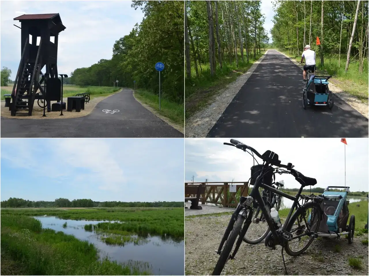 Zdjęcie Najlepsze trasy rowerowe w Żmigrodzie - odkryj ukryte szlaki