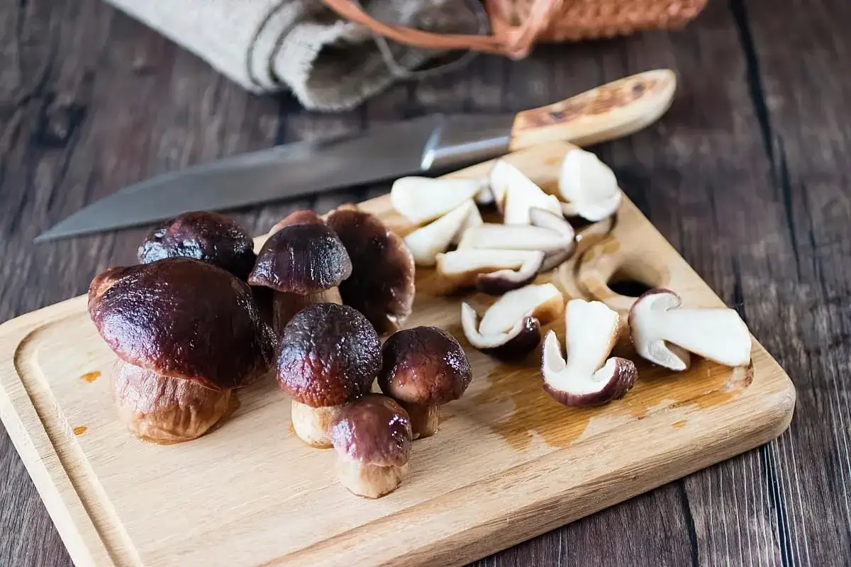 błędy w mrożeniu grzybów