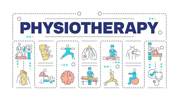 R&oacute;żne dziedziny fizjoterapii infografika