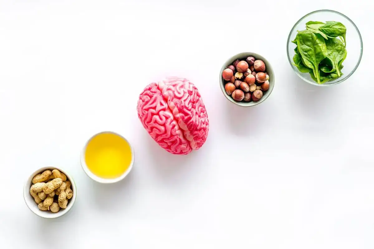 Model mózgu, orzeszki ziemne, olej, orzechy laskowe i szpinak – składniki idealnej diety dla mózgu jadłospis.
