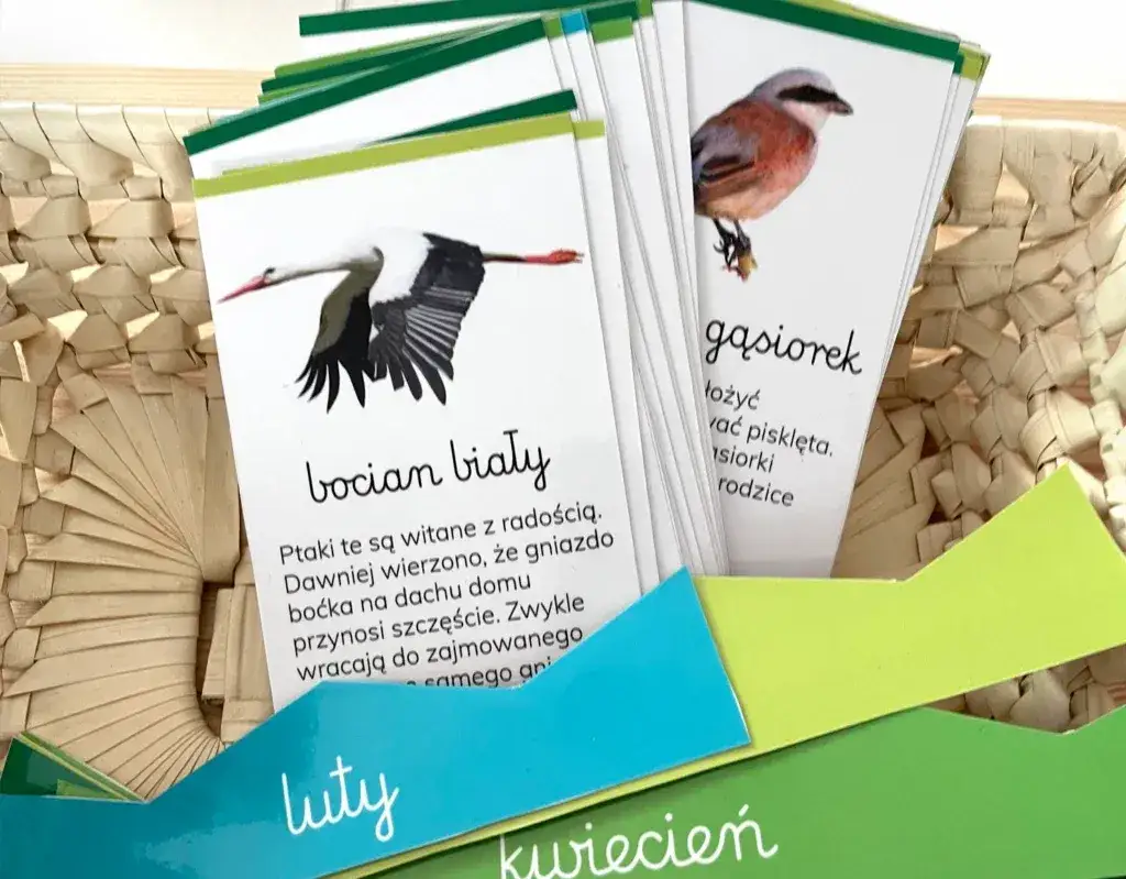 Kalendarz przylot&oacute;w ptak&oacute;w do Polski