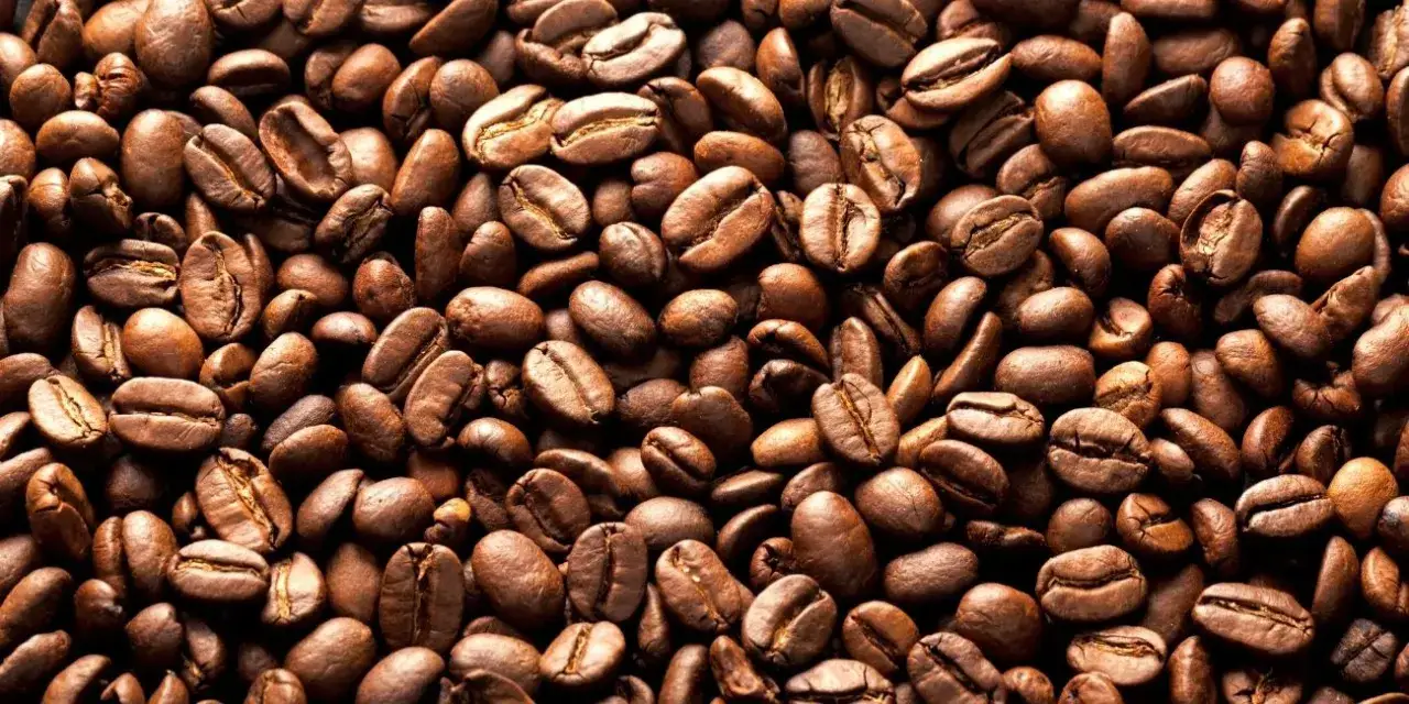 Zdjęcie Która kawa jest kwaśna: arabica czy robusta? Odkryj różnice!