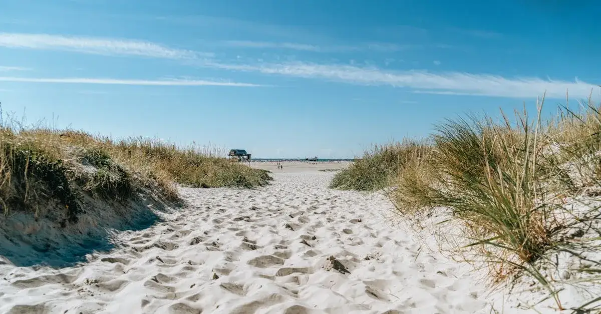 Zdjęcie Tanie noclegi blisko morza w Międzyzdrojach: Najlepsze oferty