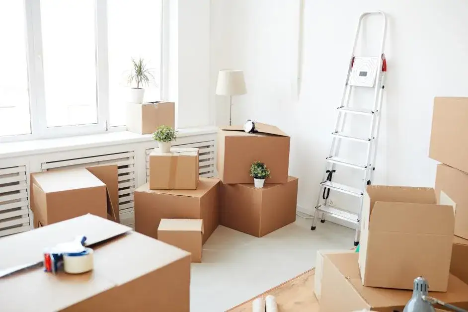 Zdjęcie Czy rodzic może wymeldować dziecko z domu? Poznaj ważne zasady