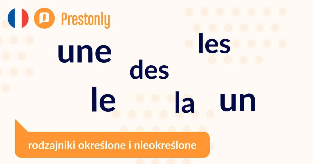 Zdjęcie Rodzajniki w języku francuskim: Klucz do poprawnej komunikacji