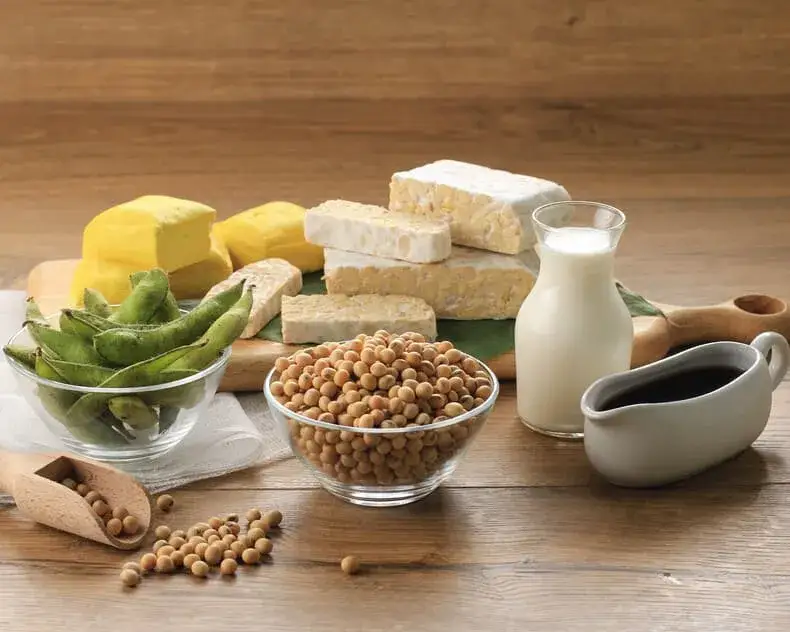 r&oacute;żne źr&oacute;dła białka roślinnego na talerzu