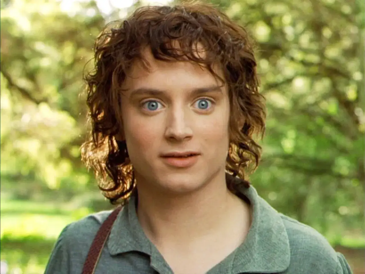 Zdjęcie Elijah Wood jako Frodo Baggins: ciekawostki i kariera aktora z Władcy Pierścieni