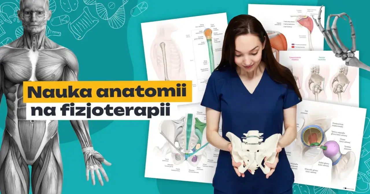 student fizjoterapii uczy się anatomii