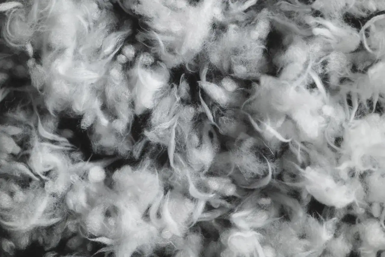 Puszyste wł&oacute;kna, kt&oacute;re mogą być materiałem Primaloft. To syntetyczne ocieplenie, kt&oacute;re zapewnia lekkość i ciepło.