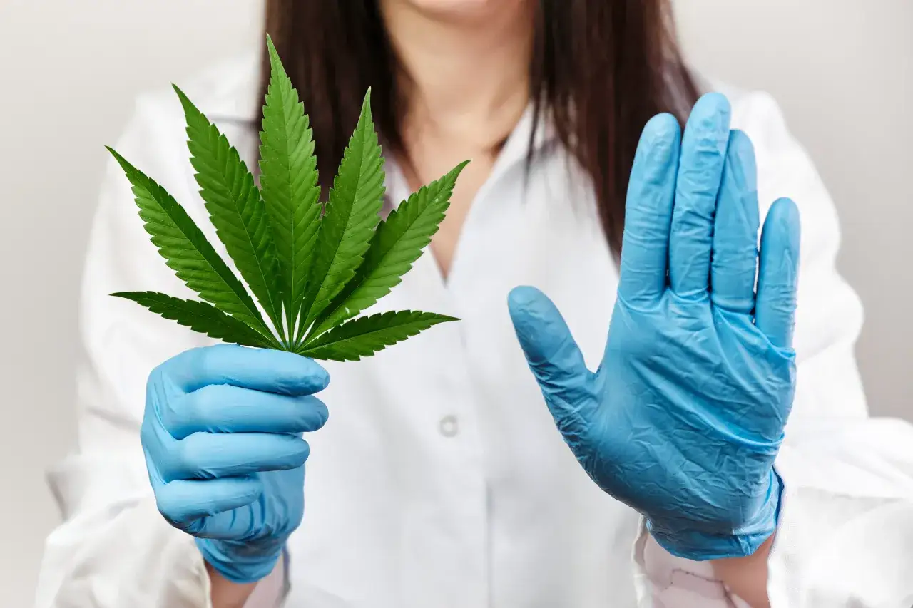 terapia uzależnień marihuana